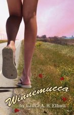 Winnemucca: A young adult, small-town fairy tale