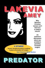 Predator: Why fabulous Christian women can't find love in today's church.