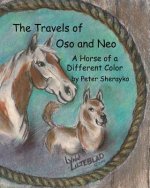 The Travels of Oso and Neo: A Horse of a Different Color