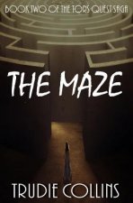 Maze