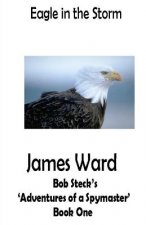 Eagle in the Storm: Bob Steck's 'adventures of a spymaster' - Book One