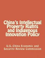 China's Intellectual Property Rights and Indigenous Innovation Policy