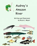 Audrey's Amazon River