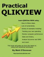 Practical QlikView