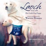 Laoch (Lay-ock) the Guide Dog Puppy
