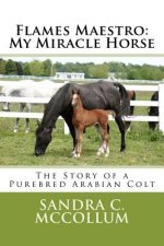 Flames Maestro: My Miracle Horse: The Story of a Purebred Arabian Colt
