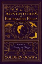 The Adventures of Bouragner Felpz, Volume I: A Study of Magic