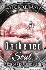 Darkened Soul: Pieces of a Darkened Puzzle: (A Darkened Story Collection)