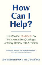 How Can I Help?: What You Can (and Can't) Do to Counsel a Friend, Colleague or Family Member With a Problem