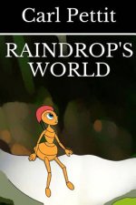 Raindrop's World
