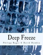 Deep Freeze (Large Print Edition): Iceland's Economic Collapse