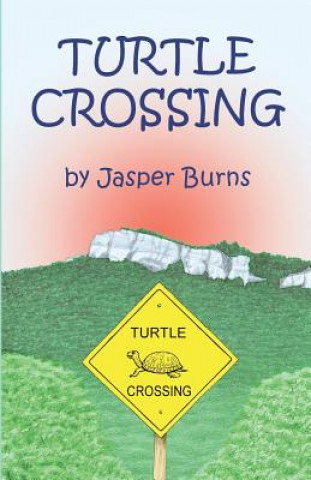 Turtle Crossing