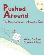 Pushed Around: The Misadventures of a Shopping Cart