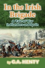 In the Irish Brigade: A Tale of War in Flanders and Spain