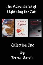 The Adventures of Lightning the Cat: Short Stories Collection One