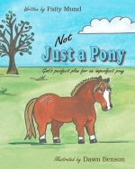 Not Just a Pony: God's perfect plan for an imperfect pony