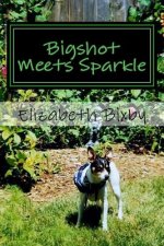Bigshot Meets Sparkle
