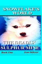 Snowflake's World: The Deadly Sulphur Mine