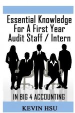 Essential Knowledge for a First Year Audit Staff/Intern in Big 4 Accounting: A True Insider's Perspective on Big 4 Accounting
