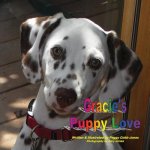 Gracie's Puppy Love
