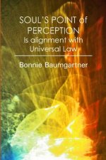 SOUL'S POINT of PERCEPTION: Is alignment with Universal Law