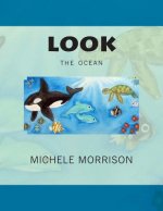 look the ocean