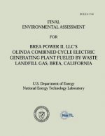 Final Environmental Assessment for Brea Power II, LLC's Olinda Combined Cycle Electric Generating Plant Fueled by Waste Landfill Gas, Brea, California