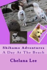 Shibamo Adventures - A Day At The Beach