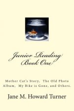 Junior Reading Books: Mother Cat's Story, The Old Photo Album, My Bike is Gone, and others.