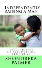 Independently Raising a Man Thoughts from a Single Mother's Perspective
