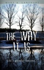 The Way It Is: Life's Painful Lessons