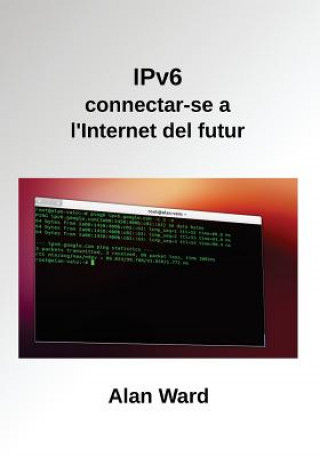 IPv6: connectar-se a l'Internet del futur