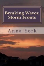 Breaking Waves: Storm Fronts: The Fourth Summer