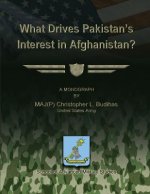 What Drives Pakistan's Interest in Afghanistan?