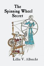 The Spinning Wheel Secret