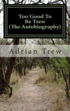 Too Good To Be Trew (The Autobiography): Personal memories from a boy born in the 1950's