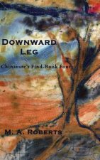Downward Leg: Chinavare's Find Book Four