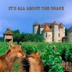 It's all about the grape