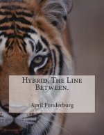 Hybrid, The Line Between.