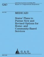 Medicaid: States' Plan to Pursue New and Revised Options for Home-and Community-Based Services