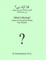 What's Missing? Puzzles for Educational Testing: Urdu Testbook