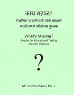 What's Missing? Puzzles for Educational Testing: Marathi Testbook