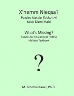 What's Missing? Puzzles for Educational Testing: Maltese Testbook