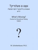 What's Missing? Puzzles for Educational Testing: Yiddish