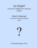 What's Missing? Puzzles for Educational Testing: Czech