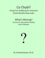 What's Missing? Puzzles for Educational Testing: Czech Testbook