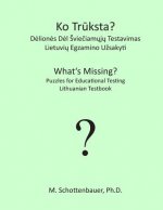 What's Missing? Puzzles for Educational Testing: Lithuanian Testbook