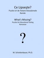 What's Missing? Puzzles for Educational Testing: Romanian