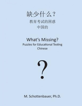 What's Missing? Puzzles for Educational Testing: Chinese