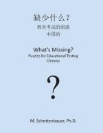 What's Missing? Puzzles for Educational Testing: Chinese
